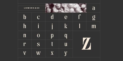 Astella Luxury Font Poster 14