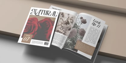 Astella Luxury Font Poster 3