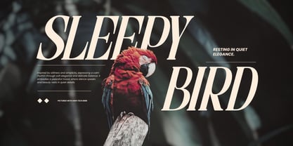 Astella Luxury Font Poster 10