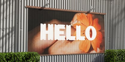 Ladiha Font Poster 5