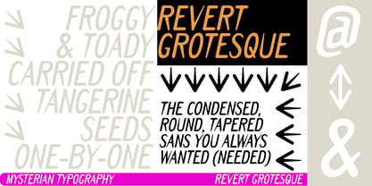 Revert Grotesque Font Poster 1
