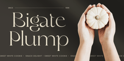Mogart Font Poster 3