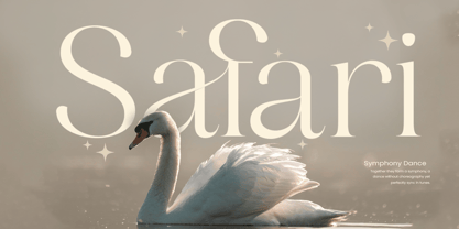 Mogart Font Poster 2