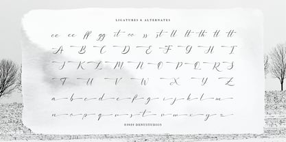 Sollutes Handy Font Poster 12