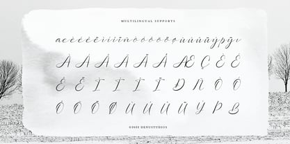 Sollutes Handy Font Poster 11