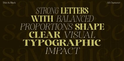 Sevontic Font Poster 2