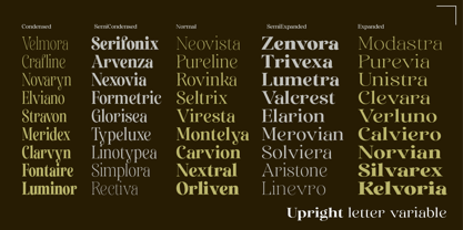 Sevontic Font Poster 7