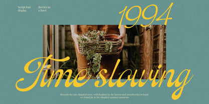 Ostelyn Font Poster 2