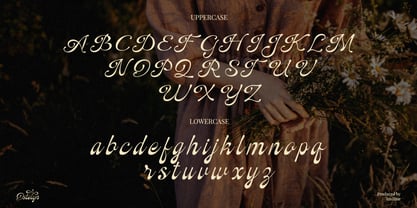 Ostelyn Font Poster 5