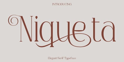 Niqueta Font Poster 1