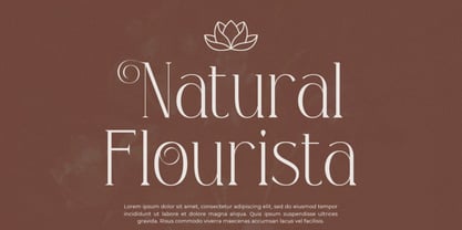 Niqueta Font Poster 4