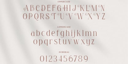 Niqueta Font Poster 3