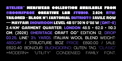 Ristle Font Poster 5