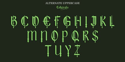 Calligrafia artistic Font Poster 9
