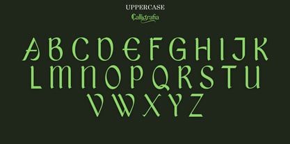 Calligrafia artistic Font Poster 6