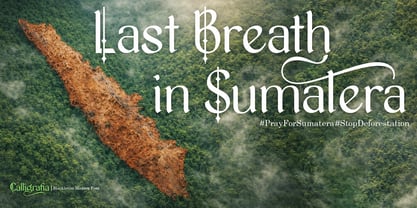 Calligrafia artistic Font Poster 3