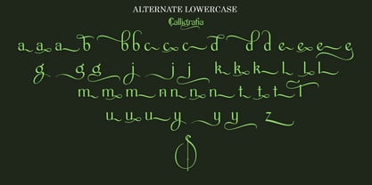 Calligrafia artistic Font Poster 10