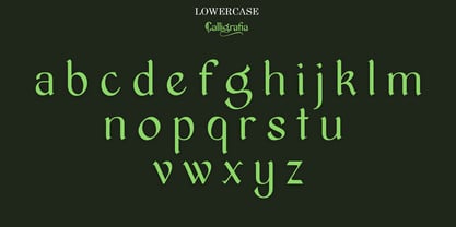 Calligrafia artistic Font Poster 7
