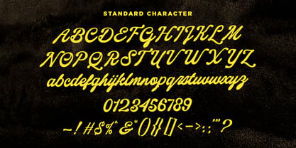 Royale Essential Script Font Poster 9