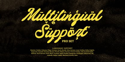 Royale Essential Script Font Poster 10