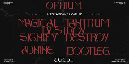 Ophium Font Poster 4