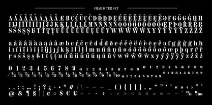 Rizz Font Poster 10