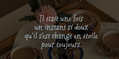 Les Memoires Font Poster 5