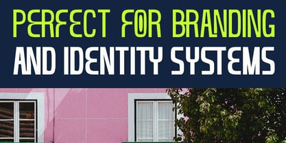 Cranity Font Poster 8