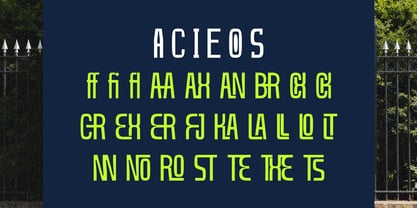 Cranity Font Poster 5