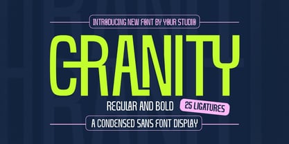 Cranity Font Poster 1