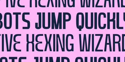Cranity Font Poster 2
