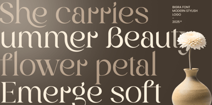 Bigra Font Poster 3
