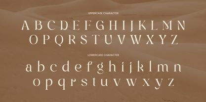 Bigra Font Poster 10