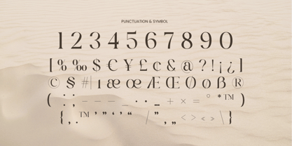 Bigra Font Poster 11