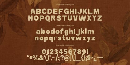 Cerline Rinande Script Font Poster 5