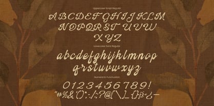 Cerline Rinande Script Font Poster 6