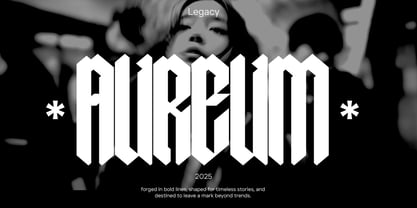 Caelum PRO Font Poster 13