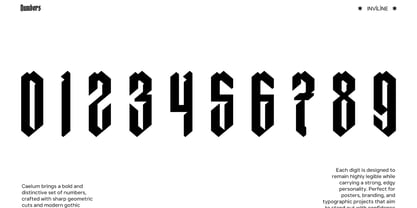 Caelum PRO Font Poster 4