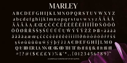 Marley Scoot Font Poster 14