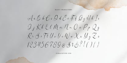 Woncherlly Font Poster 10