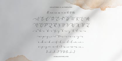 Woncherlly Font Poster 12