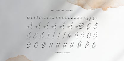 Woncherlly Font Poster 11