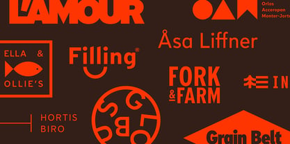 Limit Display Font Poster 11
