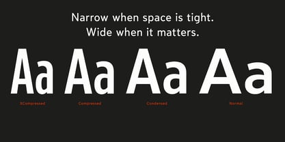 Limit Display Font Poster 3
