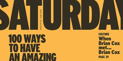 Limit Display Font Poster 9