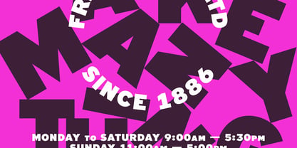 Limit Display Font Poster 7