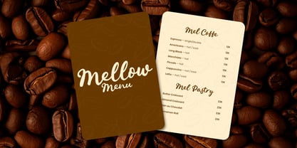 Penned Casual Font Poster 6
