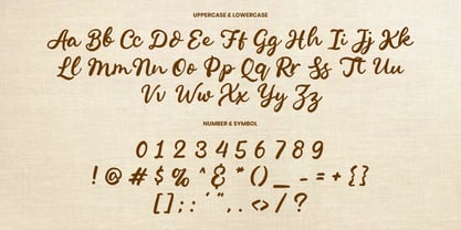 Penned Casual Font Poster 3