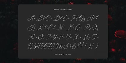 Avilantery Font Poster 10