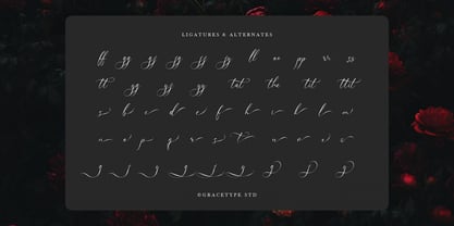Avilantery Font Poster 12